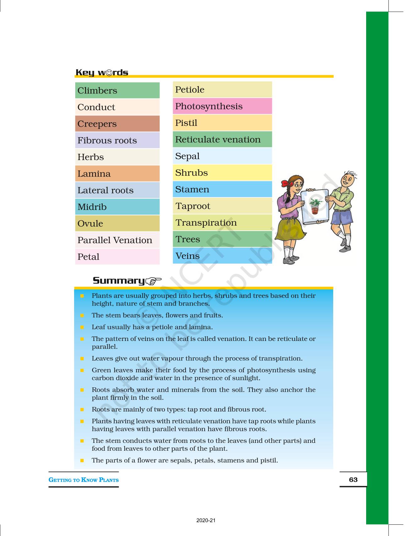 Getting To Know Plants - NCERT Book Of Class 6 Science